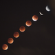 Illustration for article titled 34 Amazing Photos Of The Super Blood Moon